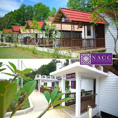 Noor Arfa River Chalet Kuala Terengganu Bagian luar foto